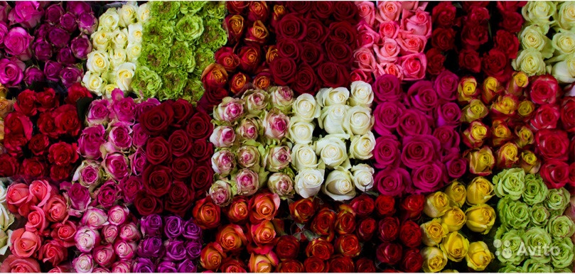 Rosa Mix (Роза Микс) В50 Flores Selectas