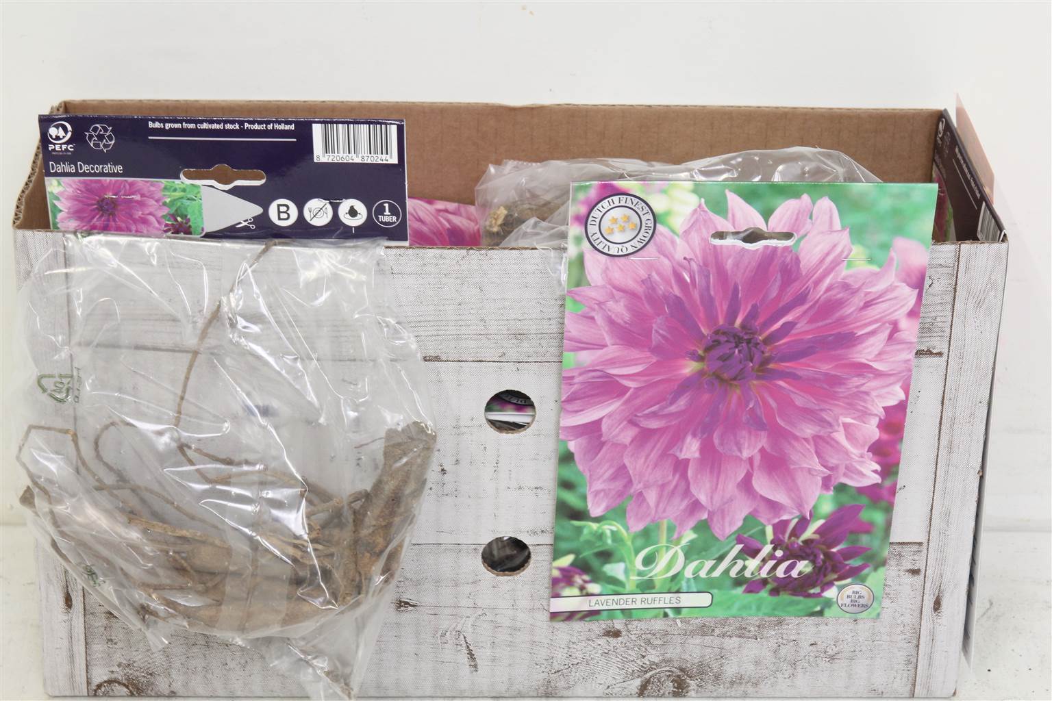 Цветочная луковица Георгин Деко Лавандовые оборки X1 ( Flower bulb Dahlia Deco Lavender Ruffles X1 )