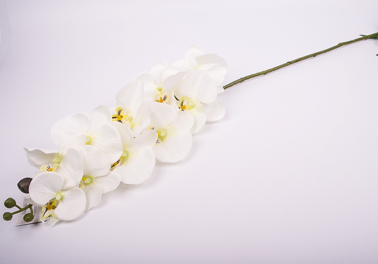 Интерьерные цветы Орхидея белая 100см