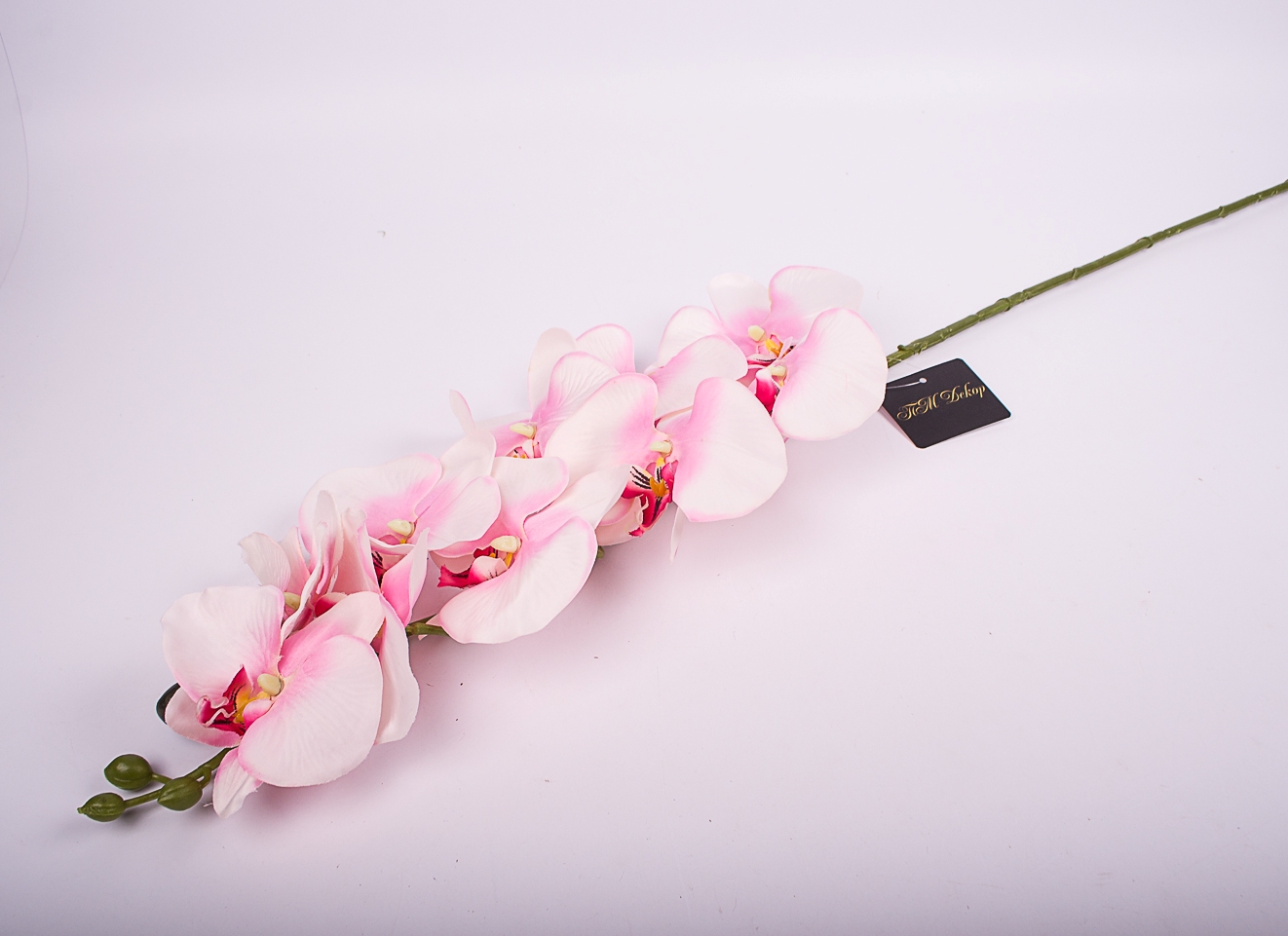 Интерьерные цветы Орхидея бело-розовая 100см