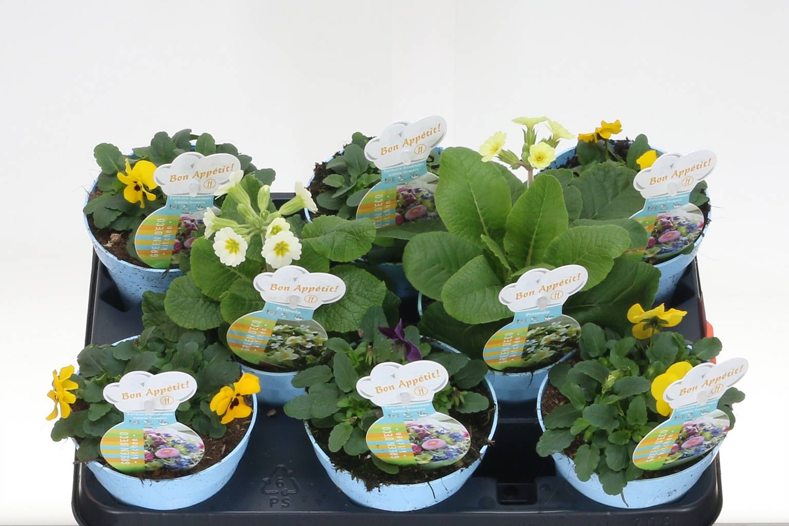 Туинские Растения Смешанный Этбаар ( Tuin Plants Mixed Eetbaar ) W 12 см H 15 см