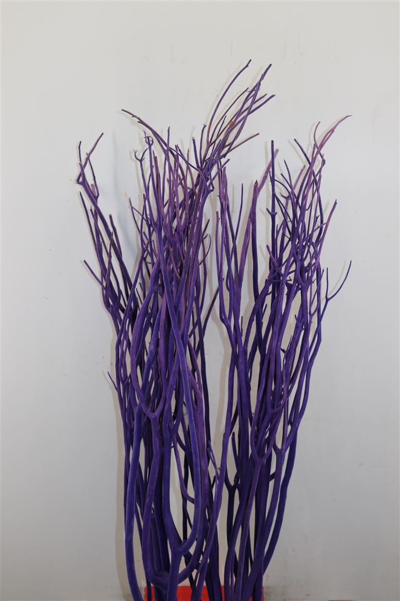 Mitsumata Purple Per Bos (Митсумата Перпл Пер Бос)