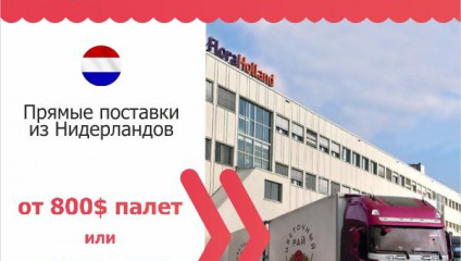 Бережная доставка, Вашей цветочной продукции по РФ и СНГ, из любой точки мира.