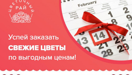 ​Предложение на Розу Эквадор 14 Февраля и 8 марта