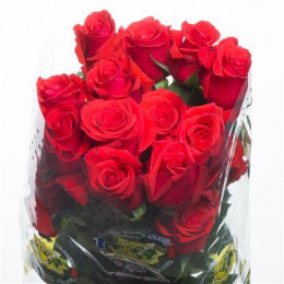 Rose Nina (Роза Нина) B60 Royal Flowers