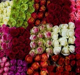 Rose mix Colors ( Роза микс ) В60 Royal Flowers