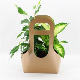 Пакет 2 Экота С 2 Растениями ( Bag 2 Ecotas Met 2 Plants ) W 12 см H 40 см