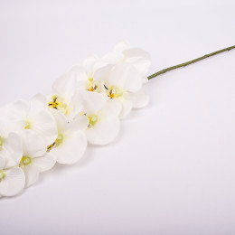 Интерьерные цветы Орхидея белая 100см