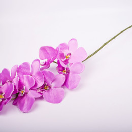 Интерьерные цветы Орхидея сиреневая 100см