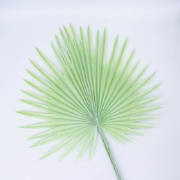 Лист пальмы светло-зелен.90см