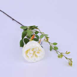 Роза Белая 65см (ветка) цвет МИКС