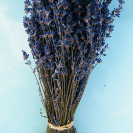 Lavandula dried dark blue(Лаванда драйд дарк блу)В40
