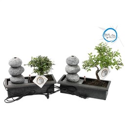 Бонсай Смешанный Горшок Easy Carex В Aliexpress 29см Балансировочный Камень ( Bonsai Mixed Easy Care