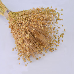 Букет из сухих колосовых культур (пшеница и лен) 17*14*48см 409гр