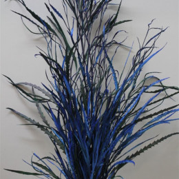 Grevilea Blue (Гривилия Блу) В80