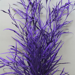 Grevilea Purple (Гривилия Перпл) В80