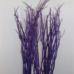 Mitsumata Purple Per Bos (Митсумата Перпл Пер Бос)
