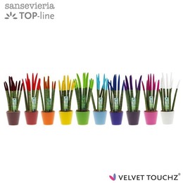 Сансевиерия Бархатное прикосновение ( Sansevieria Velvet Touchz Mixed In ceramics R'dam ) W 8,5 см H