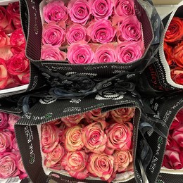 Rosa Mix (Роза Микс) В80 Star Roses